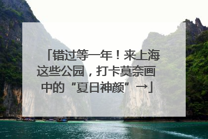 错过等一年！来上海这些公园，打卡莫奈画中的“夏日神颜”→