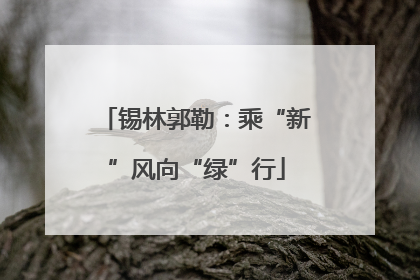 锡林郭勒：乘“新”风向“绿”行