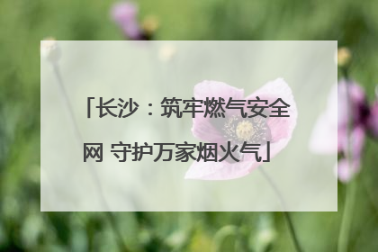 长沙：筑牢燃气安全网 守护万家烟火气