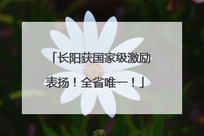 长阳获国家级激励表扬！全省唯一！
