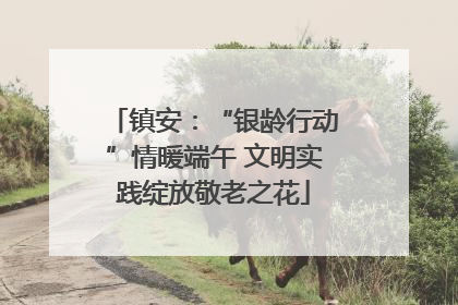 镇安：“银龄行动”情暖端午 文明实践绽放敬老之花