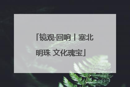 镜观·回响丨塞北明珠 文化瑰宝