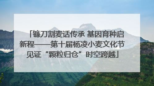 镰刀割麦话传承 基因育种启新程——第十届杨凌小麦文化节见证“颗粒归仓”时空跨越