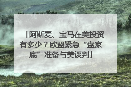 阿斯麦、宝马在美投资有多少？欧盟紧急“盘家底”准备与美谈判