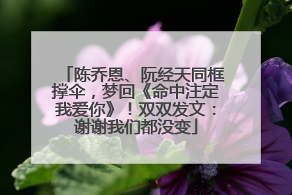 陈乔恩、阮经天同框撑伞，梦回《命中注定我爱你》！双双发文：谢谢我们都没变