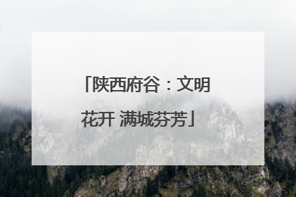 陕西府谷：文明花开 满城芬芳
