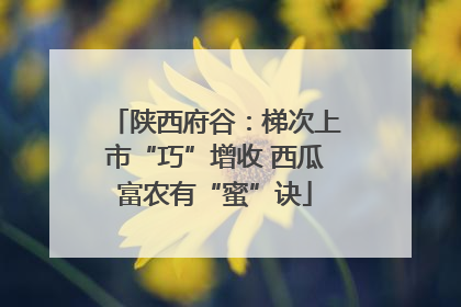陕西府谷：梯次上市“巧”增收 西瓜富农有“蜜”诀