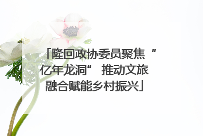 隆回政协委员聚焦“亿年龙洞” 推动文旅融合赋能乡村振兴
