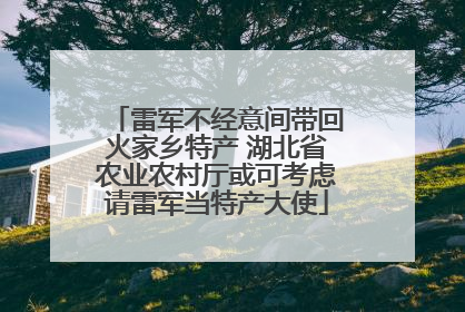 雷军不经意间带回火家乡特产 湖北省农业农村厅或可考虑请雷军当特产大使
