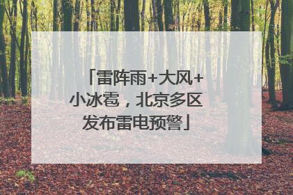 雷阵雨+大风+小冰雹，北京多区发布雷电预警