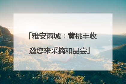 雅安雨城：黄桃丰收 邀您来采摘和品尝