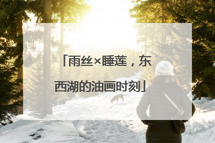 雨丝×睡莲，东西湖的油画时刻