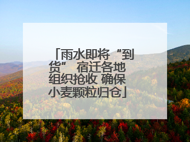 雨水即将“到货” 宿迁各地组织抢收 确保小麦颗粒归仓