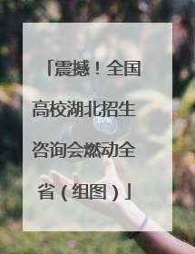震撼！全国高校湖北招生咨询会燃动全省（组图）