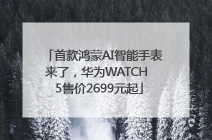 首款鸿蒙AI智能手表来了，华为WATCH 5售价2699元起