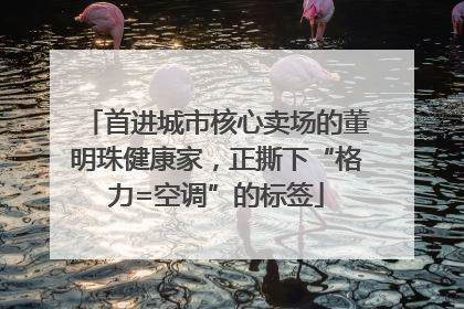 首进城市核心卖场的董明珠健康家，正撕下“格力=空调”的标签