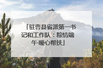 驻曹县省派第一书记和工作队：粽情端午·暖心帮扶