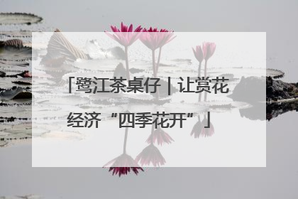 鹭江茶桌仔｜让赏花经济“四季花开”