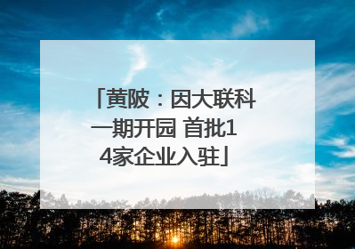 黄陂：因大联科一期开园 首批14家企业入驻