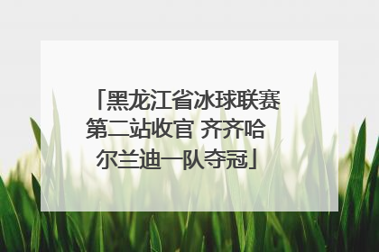 黑龙江省冰球联赛第二站收官 齐齐哈尔兰迪一队夺冠