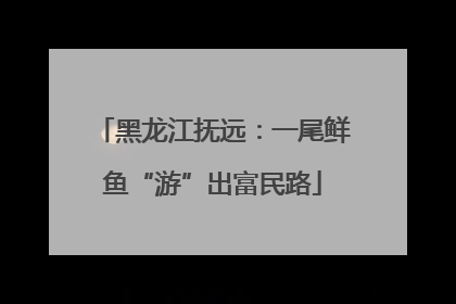 黑龙江抚远：一尾鲜鱼“游”出富民路