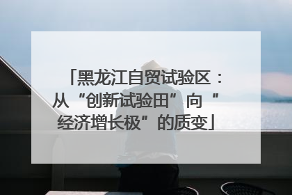 黑龙江自贸试验区：从“创新试验田”向“经济增长极”的质变