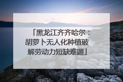 黑龙江齐齐哈尔：胡萝卜无人化种植破解劳动力短缺难题