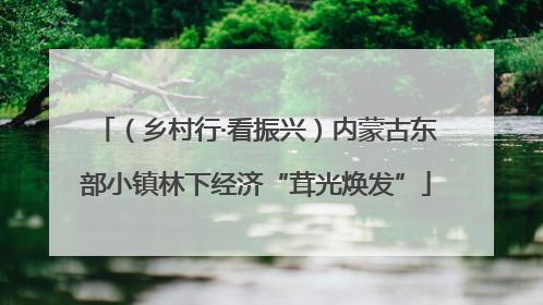 （乡村行·看振兴）内蒙古东部小镇林下经济“茸光焕发”