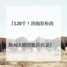 120个！济南发布首批AI大模型推荐名录