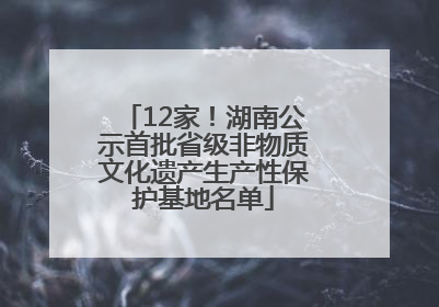 12家！湖南公示首批省级非物质文化遗产生产性保护基地名单