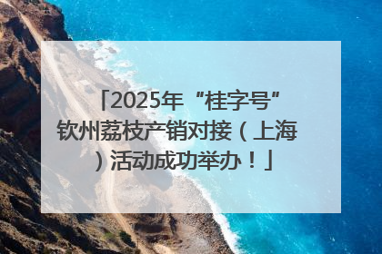 2025年“桂字号”钦州荔枝产销对接（上海）活动成功举办！