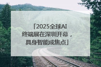2025全球AI终端展在深圳开幕，具身智能成焦点