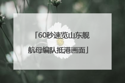 60秒速览山东舰航母编队抵港画面