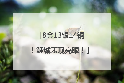 8金13银14铜！鲤城表现亮眼！