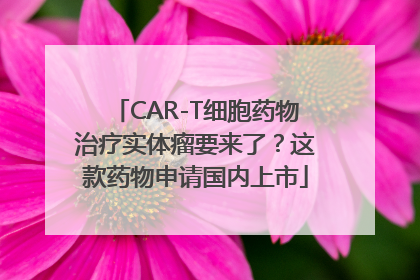 CAR-T细胞药物治疗实体瘤要来了？这款药物申请国内上市