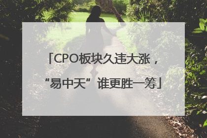 CPO板块久违大涨，“易中天”谁更胜一筹
