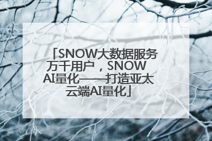 SNOW大数据服务万千用户，SNOW AI量化——打造亚太云端AI量化